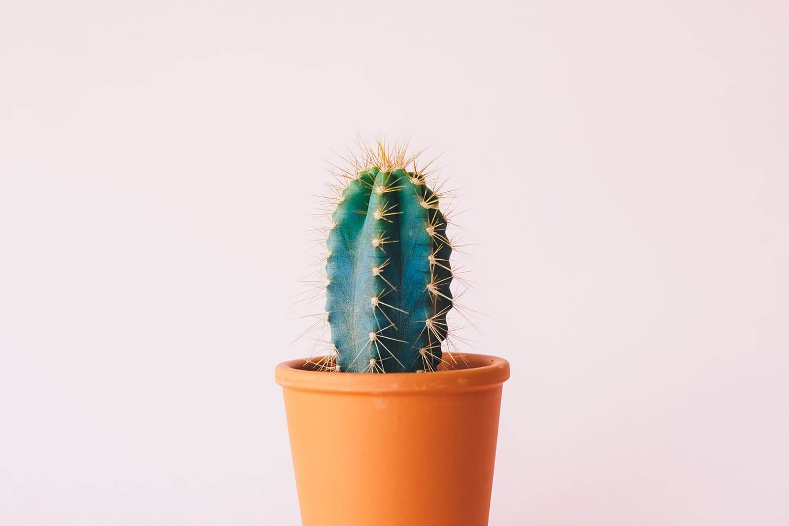 s_three_columns_3